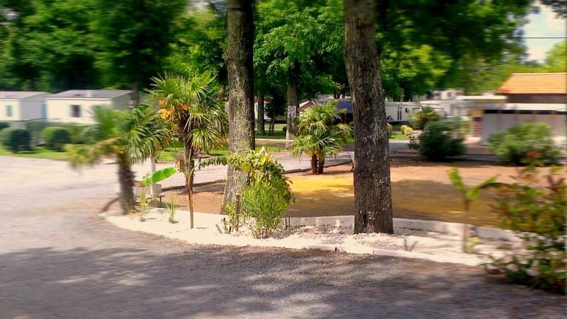 Camping Royal Ocean Ξενοδοχείο Saint-Sulpice-de-Royan Εξωτερικό φωτογραφία